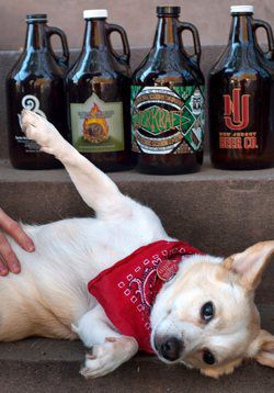 If only all growlers came with a free tummy rub
